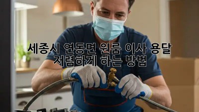 세종시 연동면 원룸 이사, 용달 저렴하게 하는 방법!